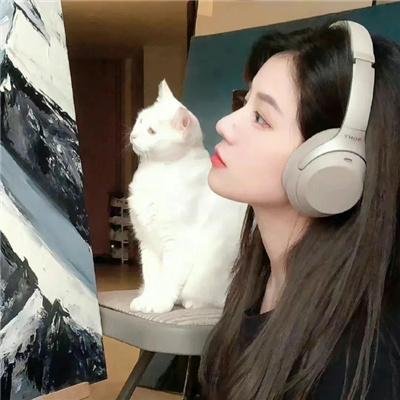 社交疑云