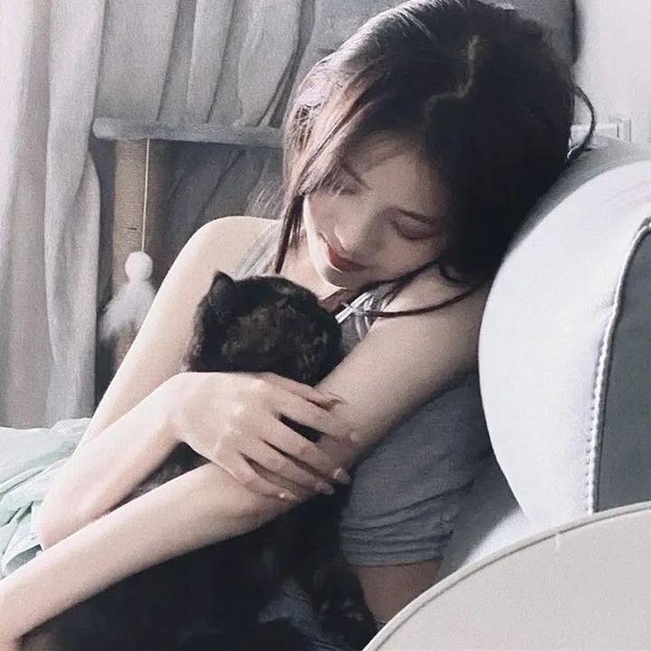 缉盗追捕令